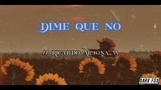 Dime Que No  Ricardo Arjona Letra [upl. by Nyasuh268]