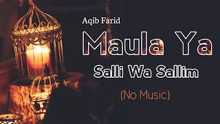 Maula Ya Salli Wa Sallim  No Music Version  Aqib FaridLyrics [upl. by Clementius]