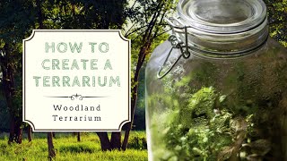 How to Create a Closed Terrarium  Ecosystem in a Jar [upl. by Ellissa303]