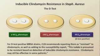 Antibiotic Resistance Antibiotics  Lecture 9 [upl. by Dolloff]