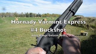 Long Range Shotgun Test 12 Gauge 4 Buck  Hornady Varmint Express [upl. by Pudens]