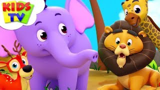 Zoo Song  Super Supremes Cartoons  Kindergarten Nursery Rhymes For Toddlers  Kids Videos [upl. by Nannoc]