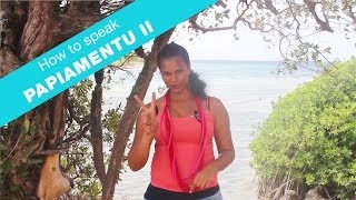 How to speak papiamentu part 2  Language lesson  Curacao [upl. by Wilkison]