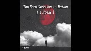 The Rare Occasions  Notion  1 HOUR [upl. by Ketty529]