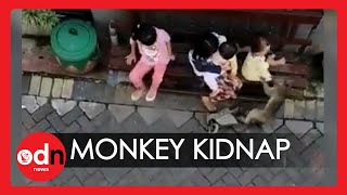 BicycleRiding Monkey Attempts to Kidnap Toddler in Shocking Video [upl. by Farrar283]