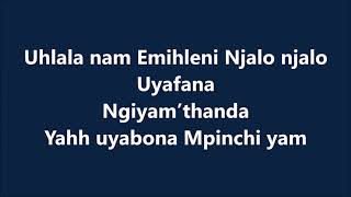 Sun EL Musician Akanamali Feat Samthing Soweto Lyrics Lyrics Video [upl. by Iden]