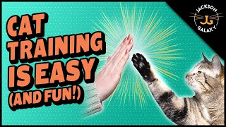 Clicker Training Your Cat is Easy and Fun [upl. by Harwin]