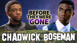 Chadwick Boseman  Before They Were Gone  Black Panther Actor Biography [upl. by Nanette]