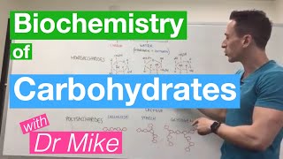 Carbohydrates  Biochemistry [upl. by Aidile]