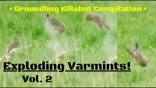 Groundhog Killshot CompilationExploding Varmints Vol 2 [upl. by Stacee]