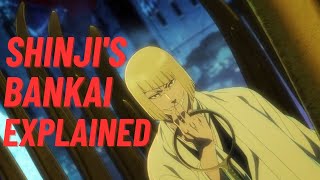 Shinjis Bankai Explained [upl. by Eugatnom]