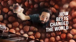 How BEETS Changed the World  SEED to HARVEST  Garden Documentary [upl. by Valiant]