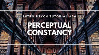 Perceptual Constancy Intro Psych Tutorial 56 [upl. by Oderf]