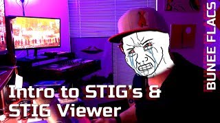 Intro to STIGs amp STIG Viewer [upl. by Atekal13]