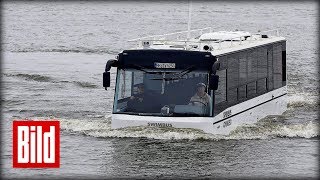 HafenCity Riverbus  Stadtkreuzfahrt im AmphibienBus [upl. by Hinkle]