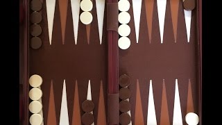 How To Play Backgammon [upl. by Enyalb348]