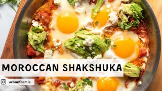 Moroccan Shakshuka  You Cant Resist These Perfect Runny Yolks [upl. by Harutak]