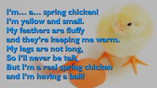 Spring Chicken Song One Mother Hen with lyrics for congregations [upl. by Caneghem]