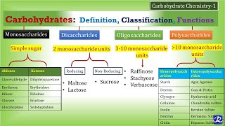 How Carbohydrates Impact Your Health [upl. by Carolin]