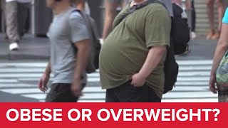 What qualifies as obese or overweight [upl. by Sprage]