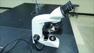 Compound Microscope Tutorial  Boston University Biology [upl. by Hnahym]