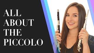 All About The Piccolo  Best Piccolos for Beginners  How To Choose A Piccolo [upl. by Brunhilda]