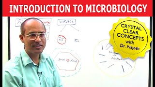 Introduction to Microbiology [upl. by Eenahs]