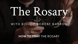 How to Pray the Rosary with Bishop Barron [upl. by Marlyn857]