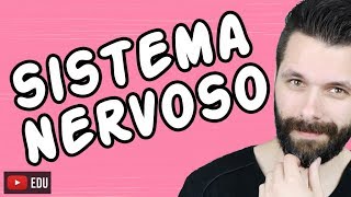 SISTEMA NERVOSO  FISIOLOGIA  Aula  Biologia com Samuel Cunha [upl. by Demetrius]