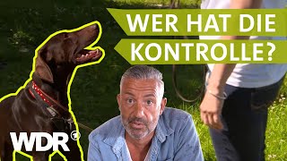 Endlich die Führung übernehmen  Hunde verstehen  S03E01  WDR [upl. by Eilloh635]