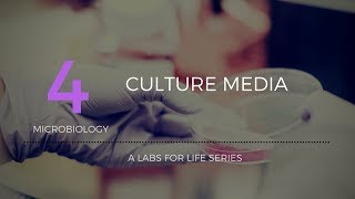 Culture Media [upl. by Edylc]