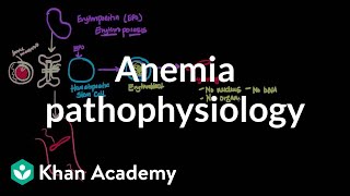 Anemia pathophysiology  Hematologic System Diseases  NCLEXRN  Khan Academy [upl. by Annahoj]