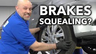 Squealing Brakes Whats That Noise in Your Car Truck or SUV [upl. by Arly]