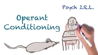 What is Operant Conditioning [upl. by Alaehcim756]