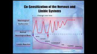 NeurOptimal Neurofeedback Introduction Part 2 [upl. by Merton]