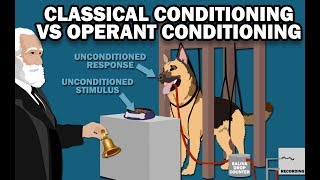 CLASSICAL VS OPERANT CONDITIONING [upl. by Ahset]