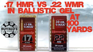 VMAX BALLISTIC GEL TEST  22 WMR vs 17 HMR [upl. by Koby134]