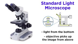 Light Microscopy Function and Utility [upl. by Wahs]