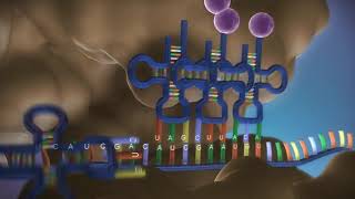 Proteinbiosynthese 3D in 3 Minuten  made EASY [upl. by Brahear802]