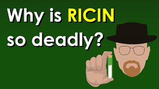 Why is Ricin so deadly [upl. by Touber]