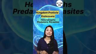 NEET 2024 💯 Rapid 🔥 Revision Protozoans Kingdom Protista  Biological Classification Class 11 NEET [upl. by Llerot]