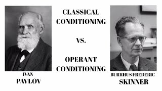 Classical Conditioning vs Operant Conditioning Psychology [upl. by Hartzke667]