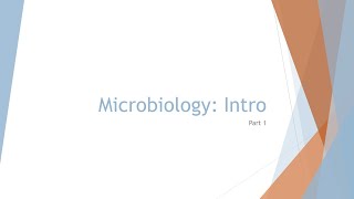 Microbiology Basics Introduction [upl. by Wilfreda]