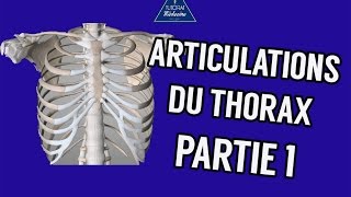 CARDIOLOGIE Techniques d’exploration radiologique du thorax [upl. by Donavon135]