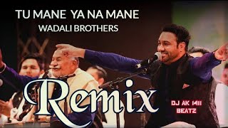 Tu Mane Ya Na Mane Remix  Wadali Brothers [upl. by Brag288]