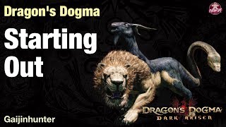 Dragons Dogma Dark Arisen Beginner Guide [upl. by Ellehsim]