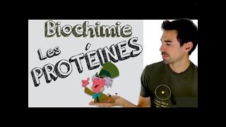 Cours de biochimie Protéines introduction [upl. by Yboc845]