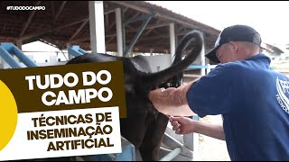 Inseminação Artificial em Bovinos [upl. by Sito]