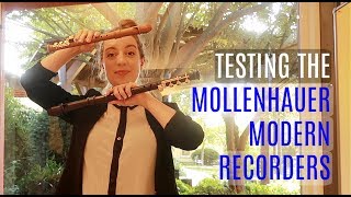 Review Mollenhauer Modern Recorders  Team Recorder [upl. by Dionisio404]