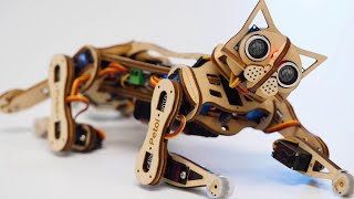 Build Your Own Robotic Cat  Introducing the Petoi Nybble  PetoiCamp [upl. by Nadnarb]